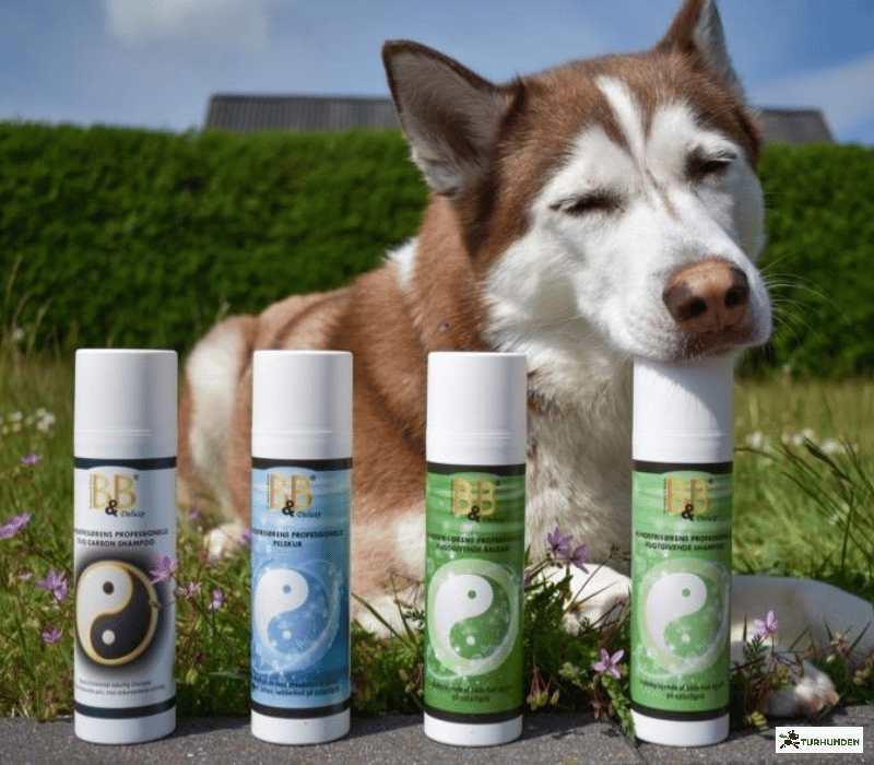 B&B Hundefris�rens prof. Fugtgivende shampoo