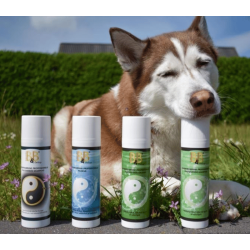 B&B Hundefris�rens prof. Fugtgivende shampoo