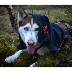 B&B Microfiber h�ndkl�de L/XL