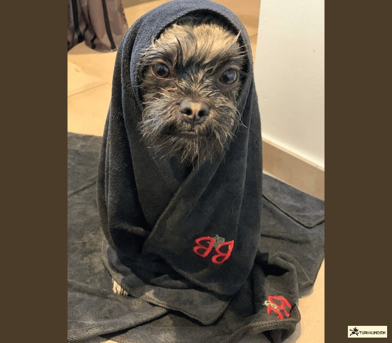 B&B Microfiber h�ndkl�de S/M