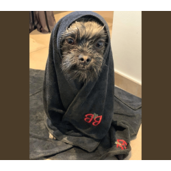 B&B Microfiber h�ndkl�de S/M