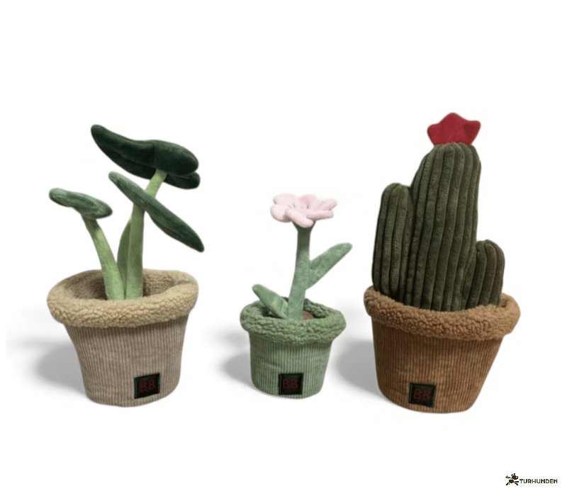 B&B Pawtanic Garden Plante