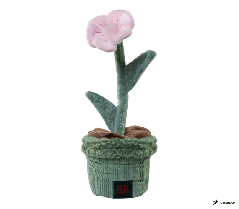 B&B Pawtanic Garden Blomst