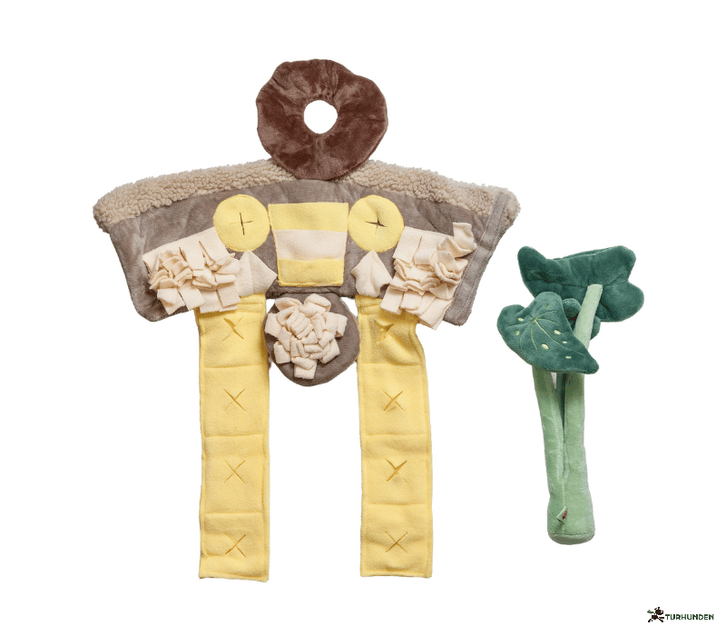 B&B Pawtanic Garden Plante