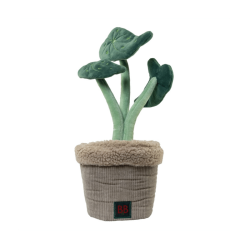 B&B Pawtanic Garden Plante