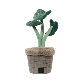 B&B Pawtanic Garden Plante