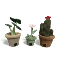 B&B Pawtanic Garden Blomst