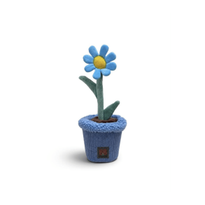 B&B Pawtanic Garden Daisy