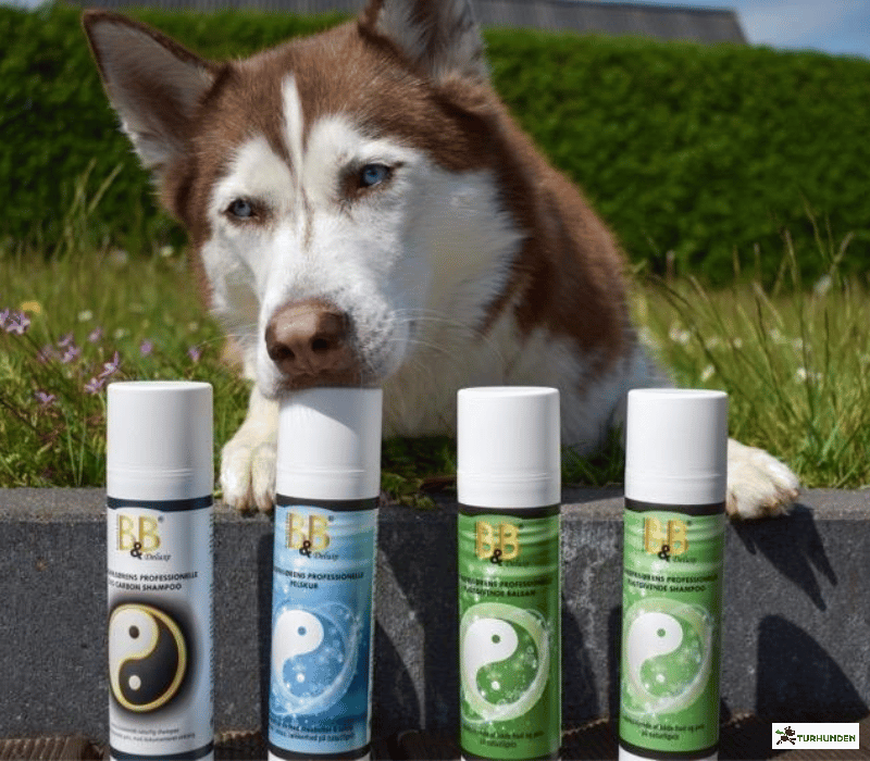 B&B Hundefris�rens prof. Pelskur