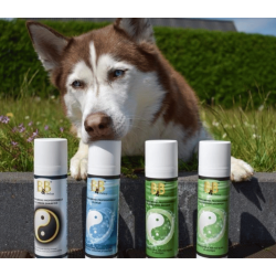 B&B Hundefris�rens prof. Pelskur