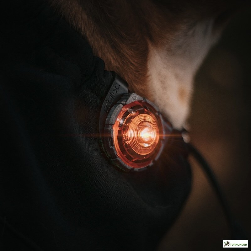 Orbiloc Dog Dual - Amber