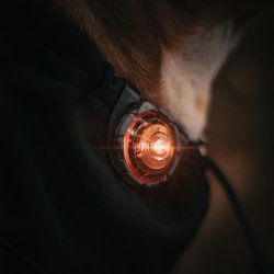 Orbiloc Dog Dual - Amber