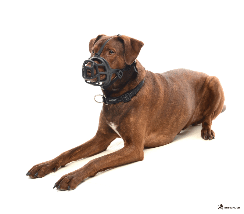 Buster Extreme Mundkurv