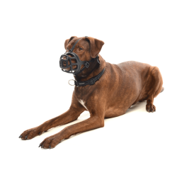 Buster Extreme Mundkurv