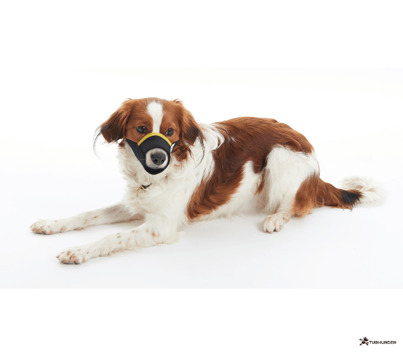 Buster Easy_ID Nylon Mundkurv 