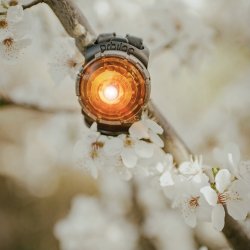 Orbiloc Dog Dual - Amber