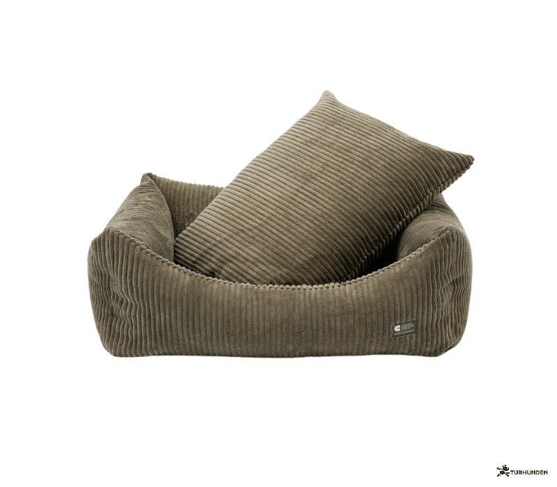 Cafide Snozy - BETRK