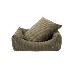 Cafide Snozy - BETRK