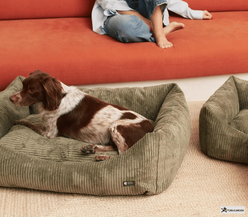 Cafide Snozy - BETRK