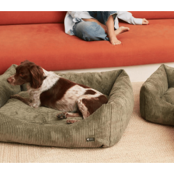 Cafide Snozy - BETRK