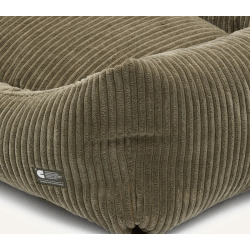 Cafide Snozy - BETRK