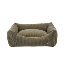 Cafide Snozy - BETRK