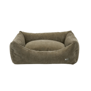 Cafide Snozy - BETRK