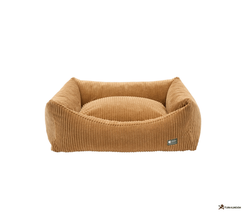 Cafide Snozy - BETRK