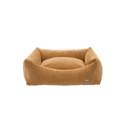 Cafide Snozy - BETRK