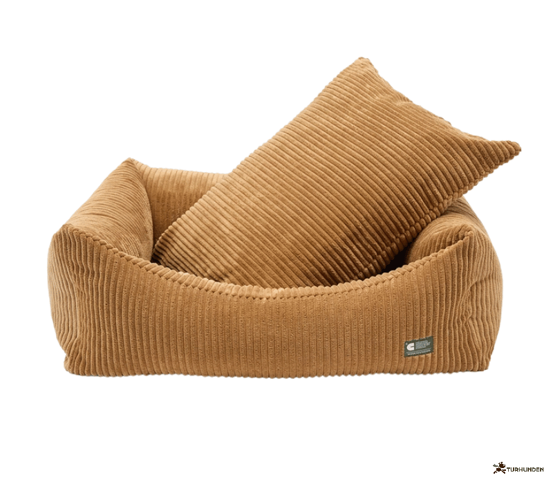 Cafide Snozy - BETRK