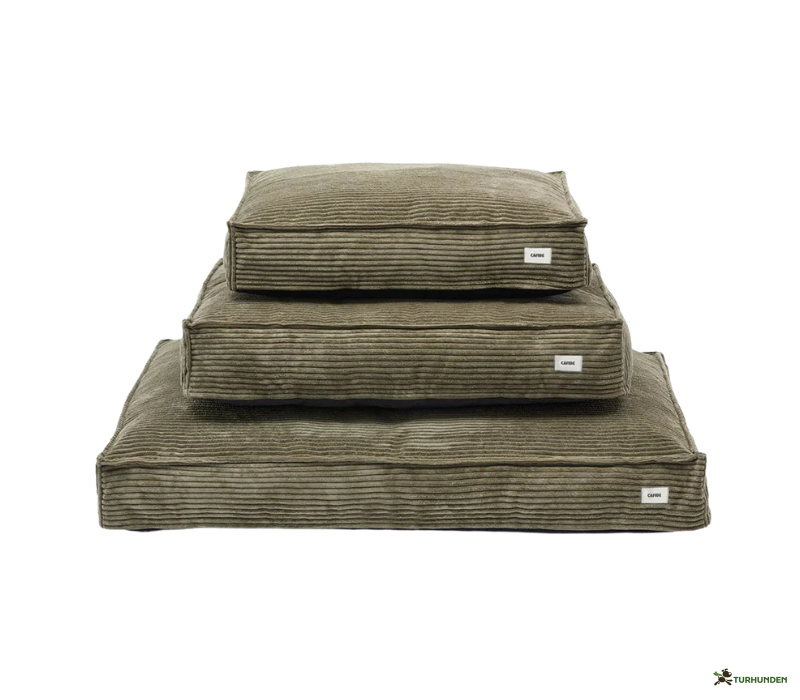 Cafide Cuadra - BETRK