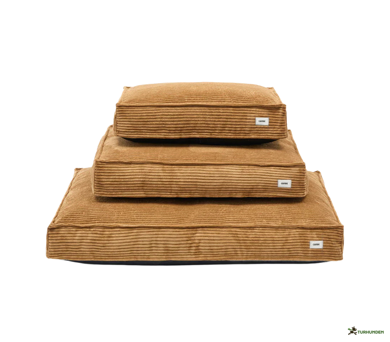 Cafide Cuadra - BETRK