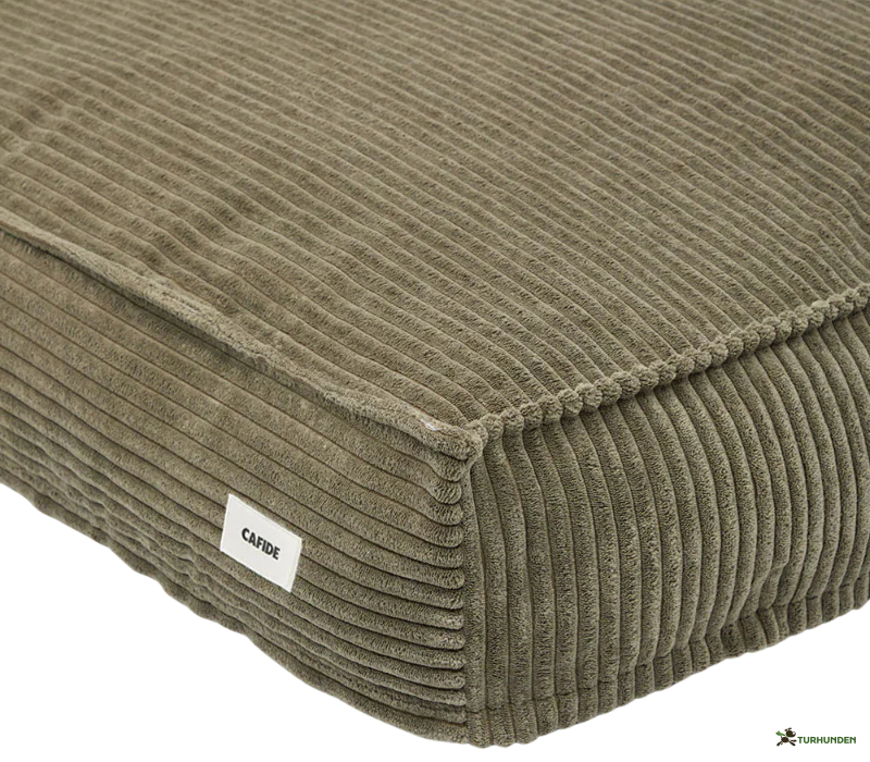 Cafide Cuadra - BETRK