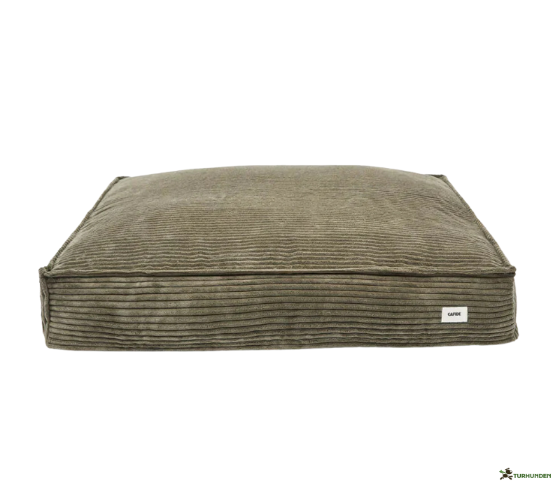 Cafide Cuadra - BETRK