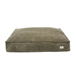 Cafide Cuadra - BETRK