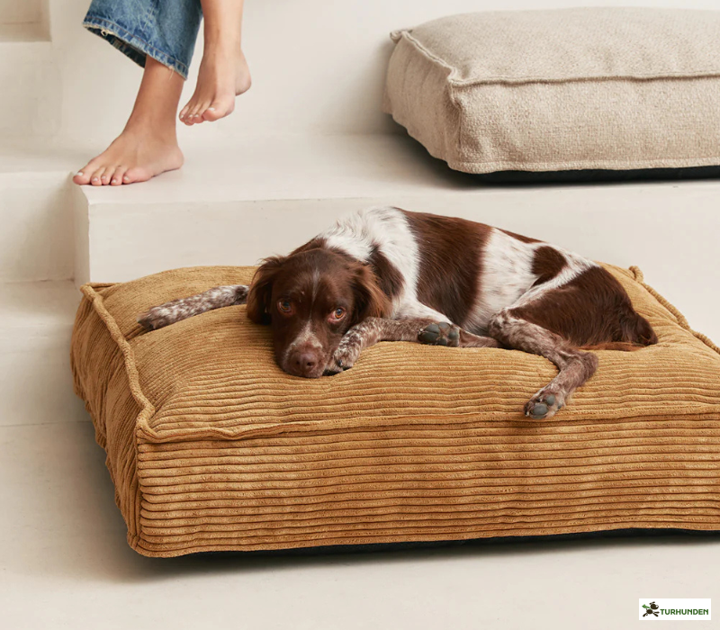 Cafide Cuadra - BETRK