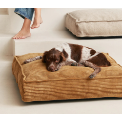 Cafide Cuadra - BETRK