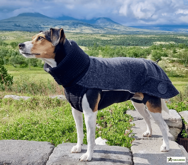 Canelana Sidney Ulddkken