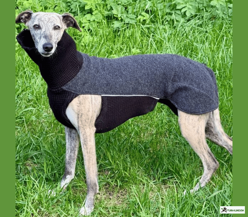 Canelana Sidney Ulddkken