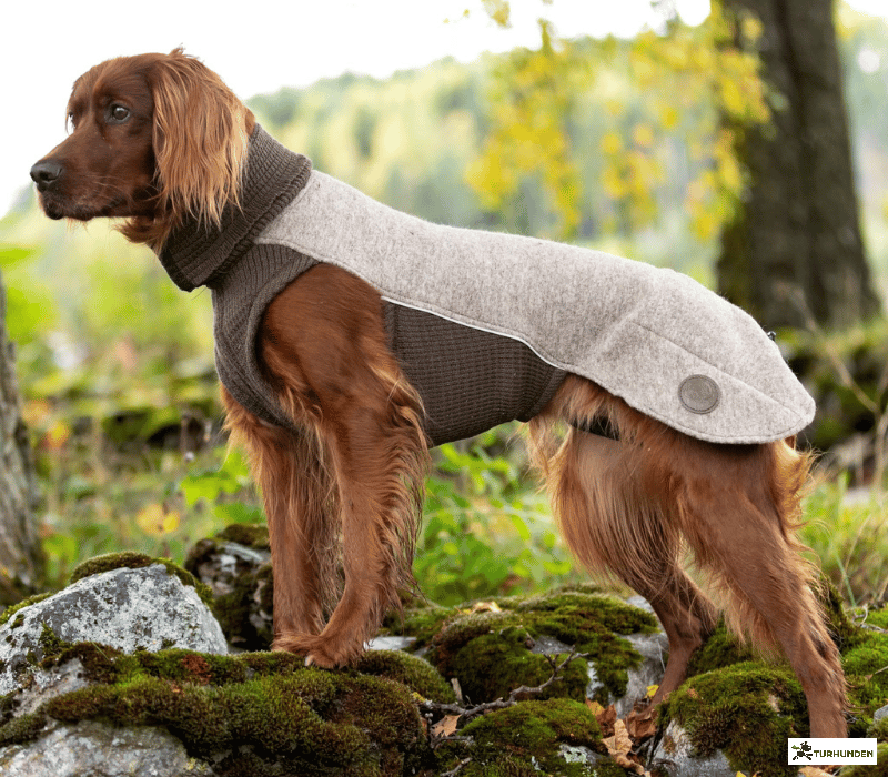 Canelana Sidney Ulddkken