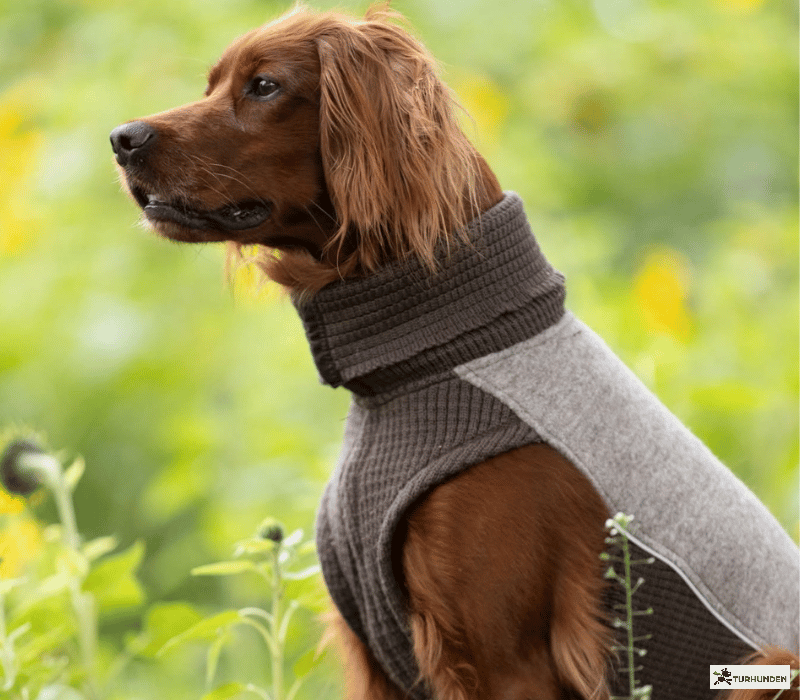 Canelana Sidney Ulddkken