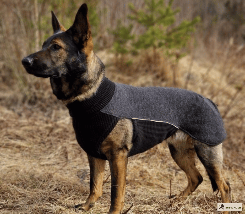 Canelana Sidney Ulddkken