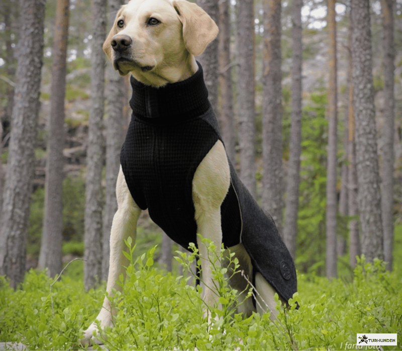 Canelana Sidney Ulddkken