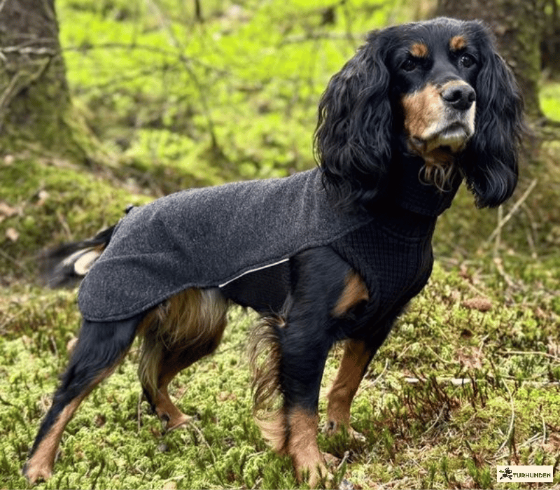 Canelana Sidney Ulddkken