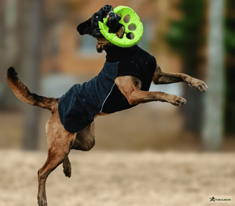 Canelana Sidney Ulddkken