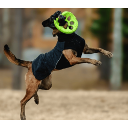 Canelana Sidney Ulddkken