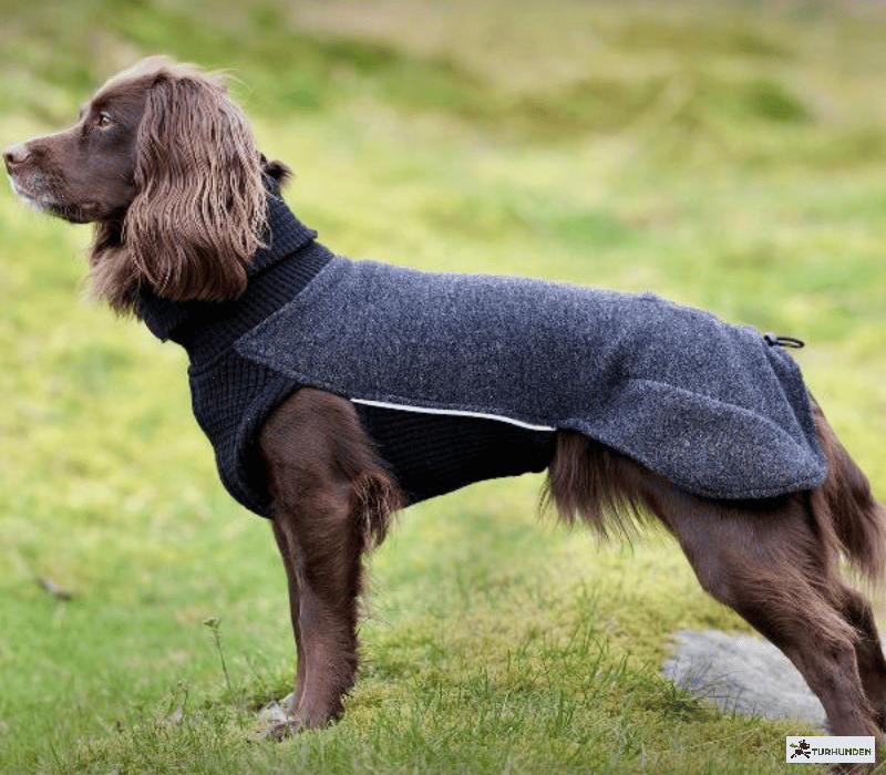 Canelana Sidney Ulddkken