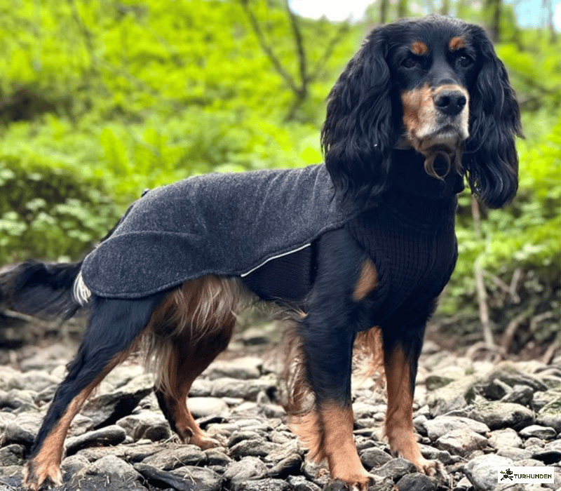 Canelana Sidney Ulddkken