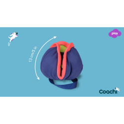 Coachi Chase &amp; Treat