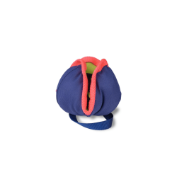 Coachi Chase &amp; Treat